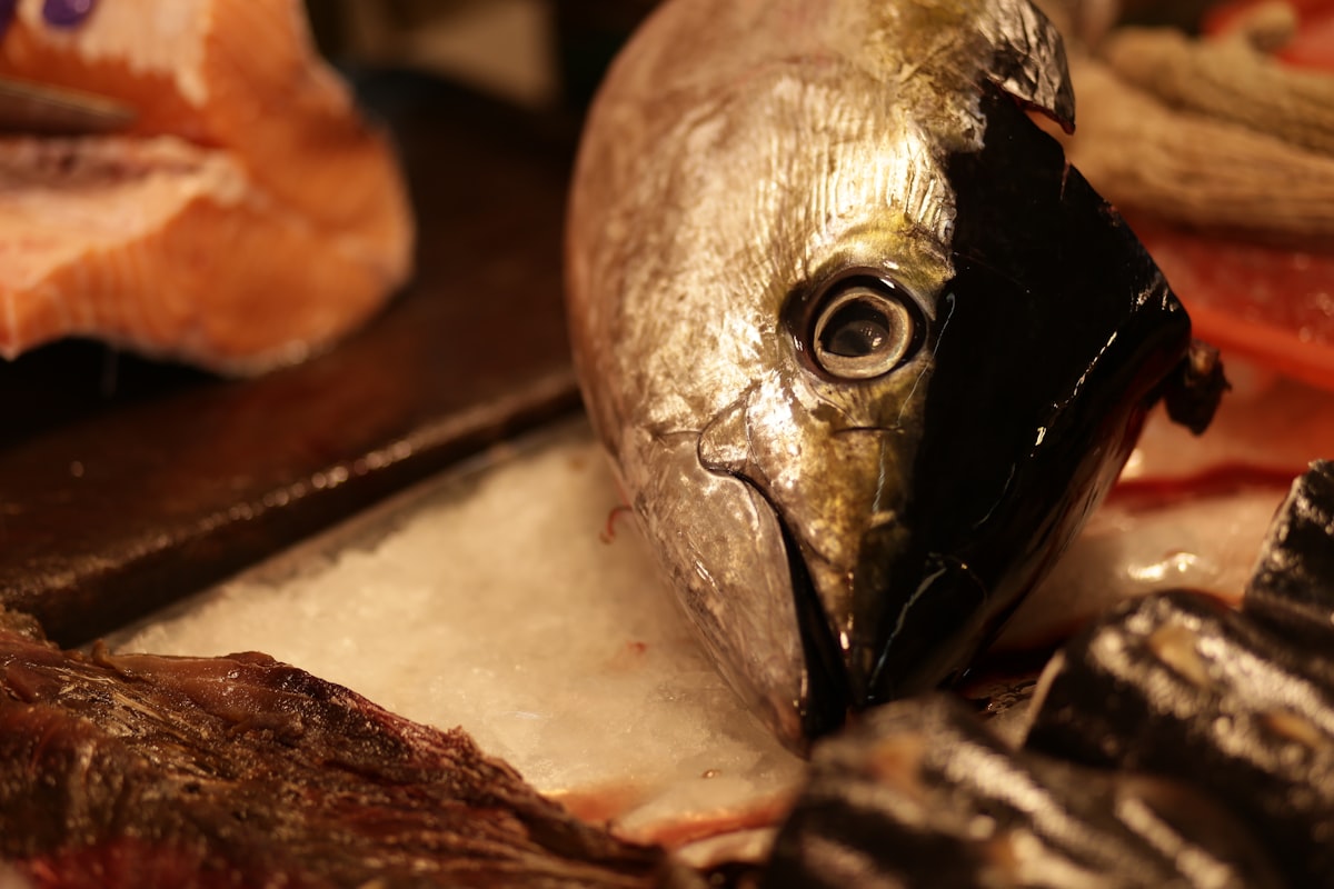 Omega-3 e Salute Oculare